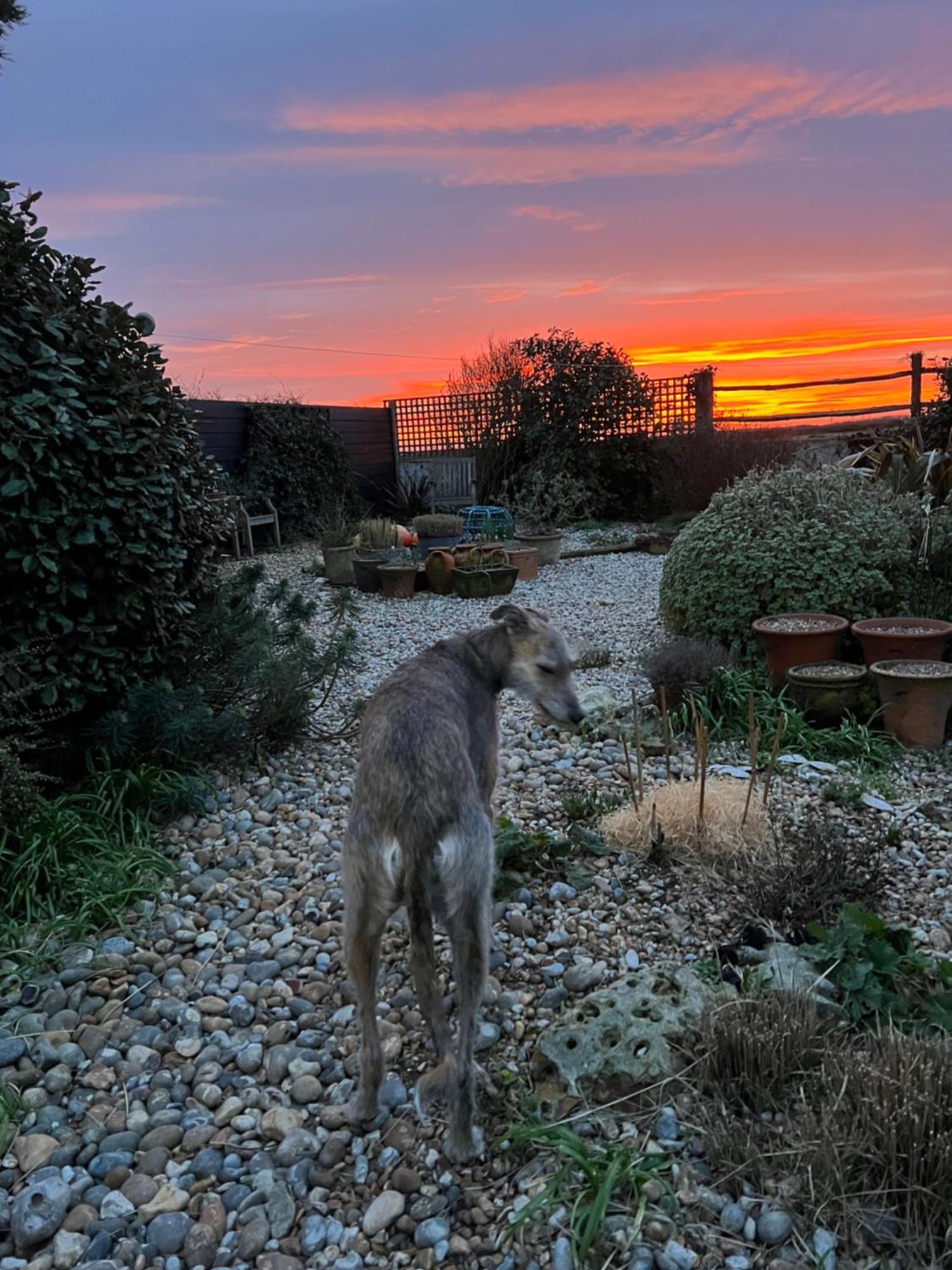 Bed and Breakfast Pluto House Dungeness Экстерьер фото